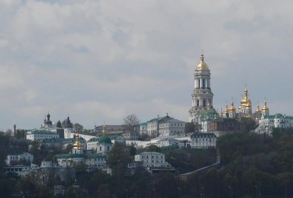 Отличие лавра от лавровишни фото и описание