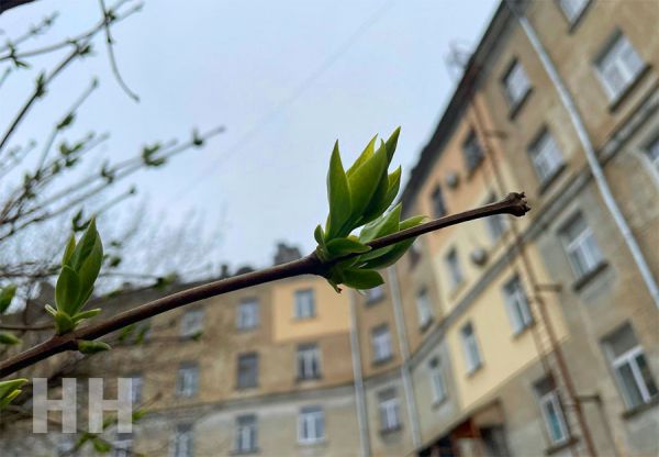 Радиационный фон в городах россии